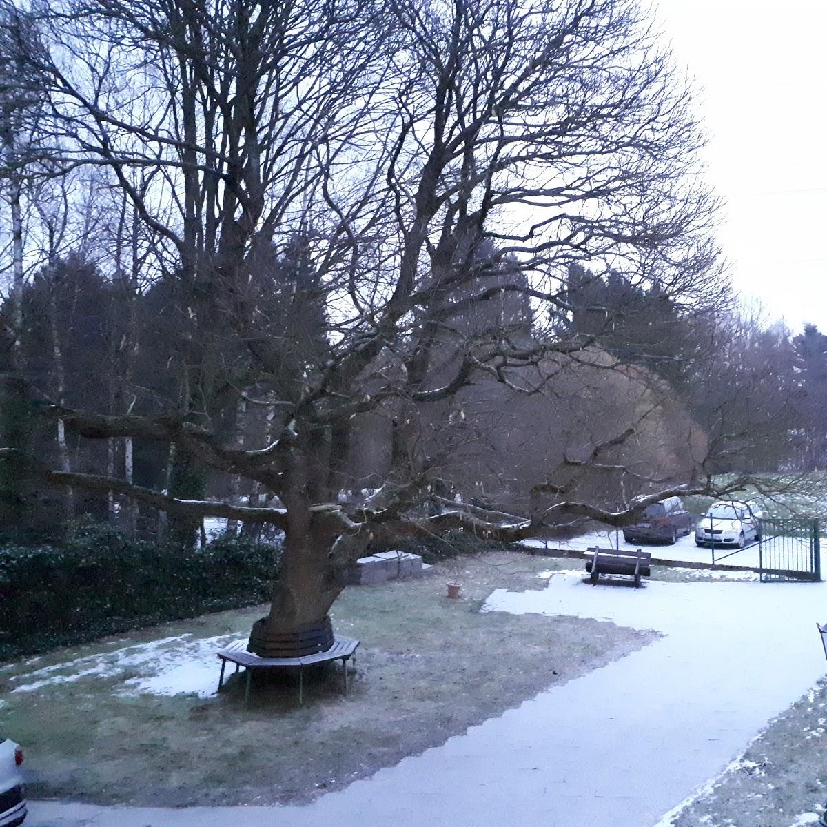 Restaurant "Hotel Gut Frühscheid" in Linz am Rhein