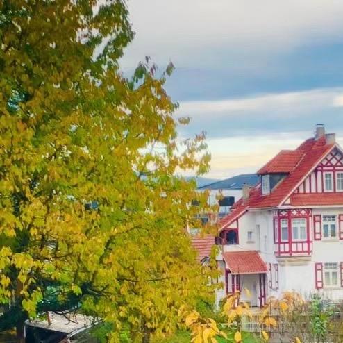 Restaurant "Gästehaus „Ambiente am Kurpark“" in Bad Sooden-Allendorf