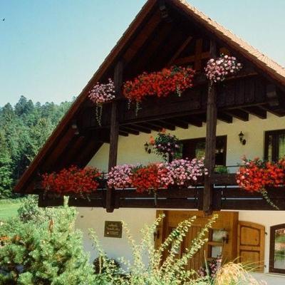 Restaurant "Pension Landhaus Am Sonneck" in Enzklösterle