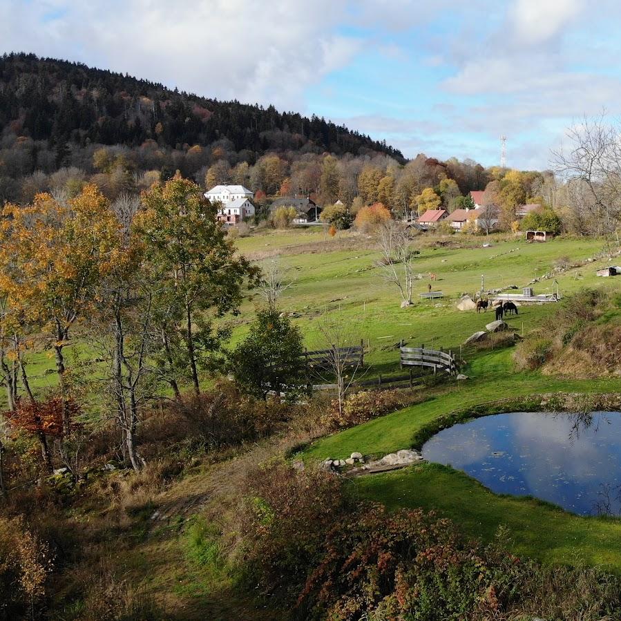 Restaurant "Bauernhof Böhmisch Röhren - Žleby" in Volary