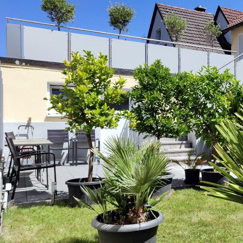 Restaurant "Haus zum Schlosspark" in Veitshöchheim