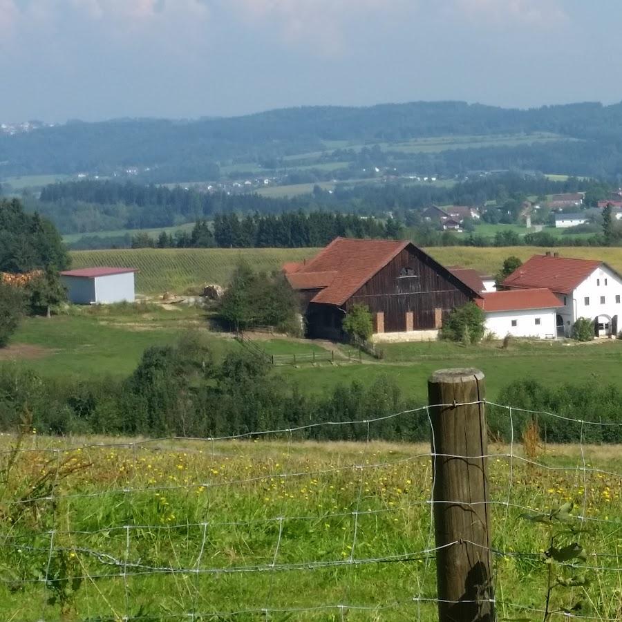 Restaurant "Kirchberg vorm WALD" in Tiefenbach
