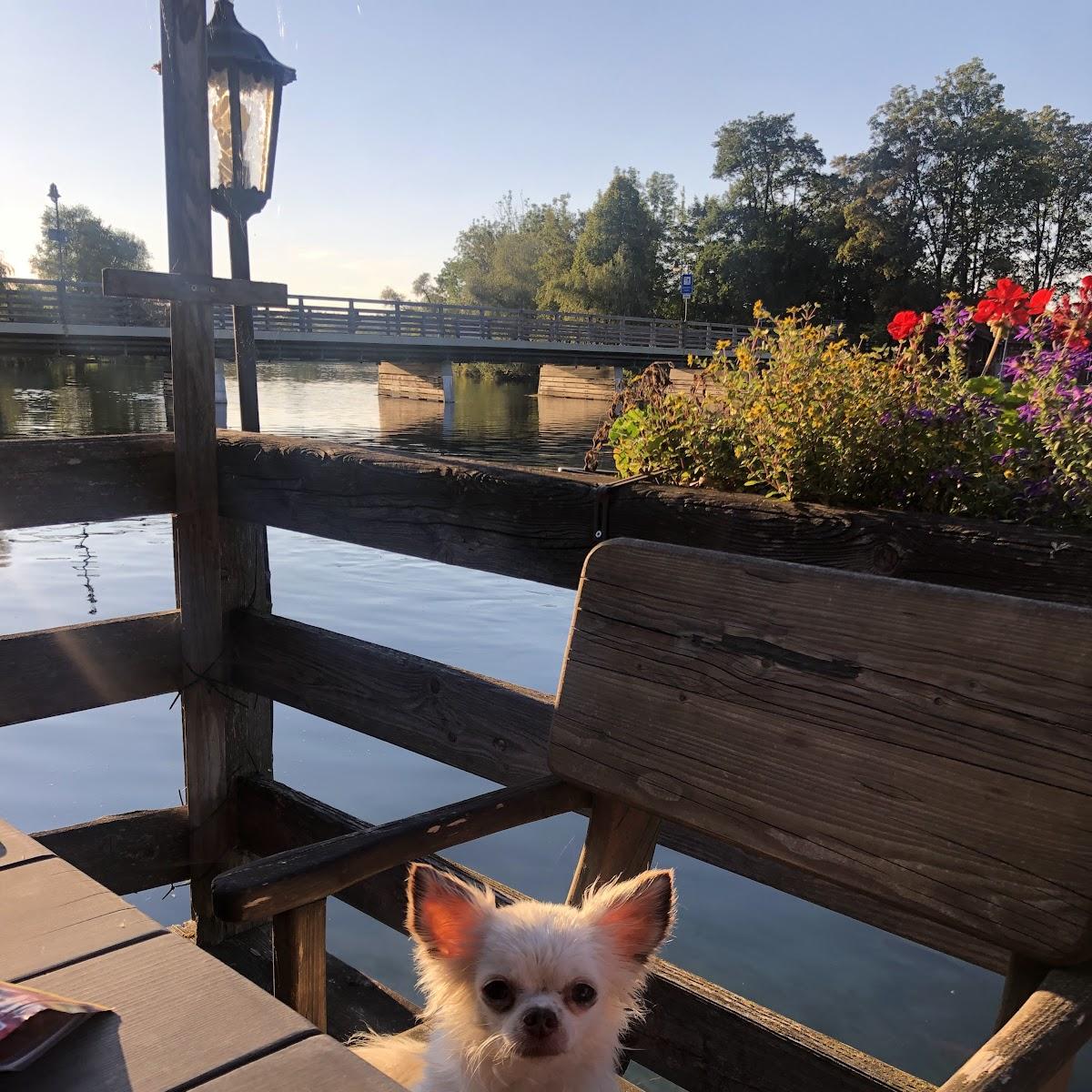 Restaurant "Gaststätte Neuwirt" in Seeon-Seebruck