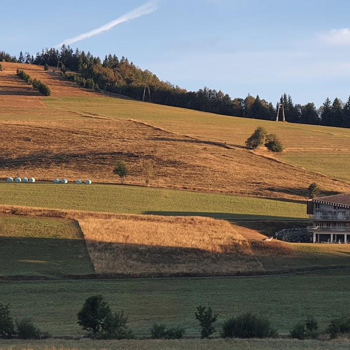 Restaurant "Haus Edelweiss" in Todtnau