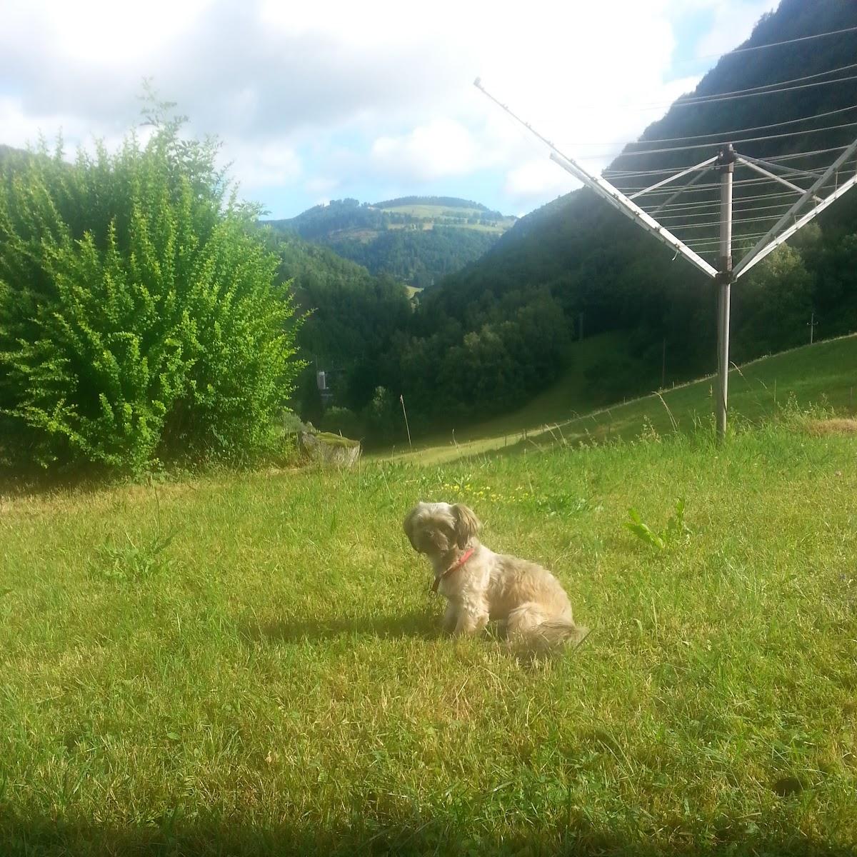 Restaurant "Haus Held" in Todtnau