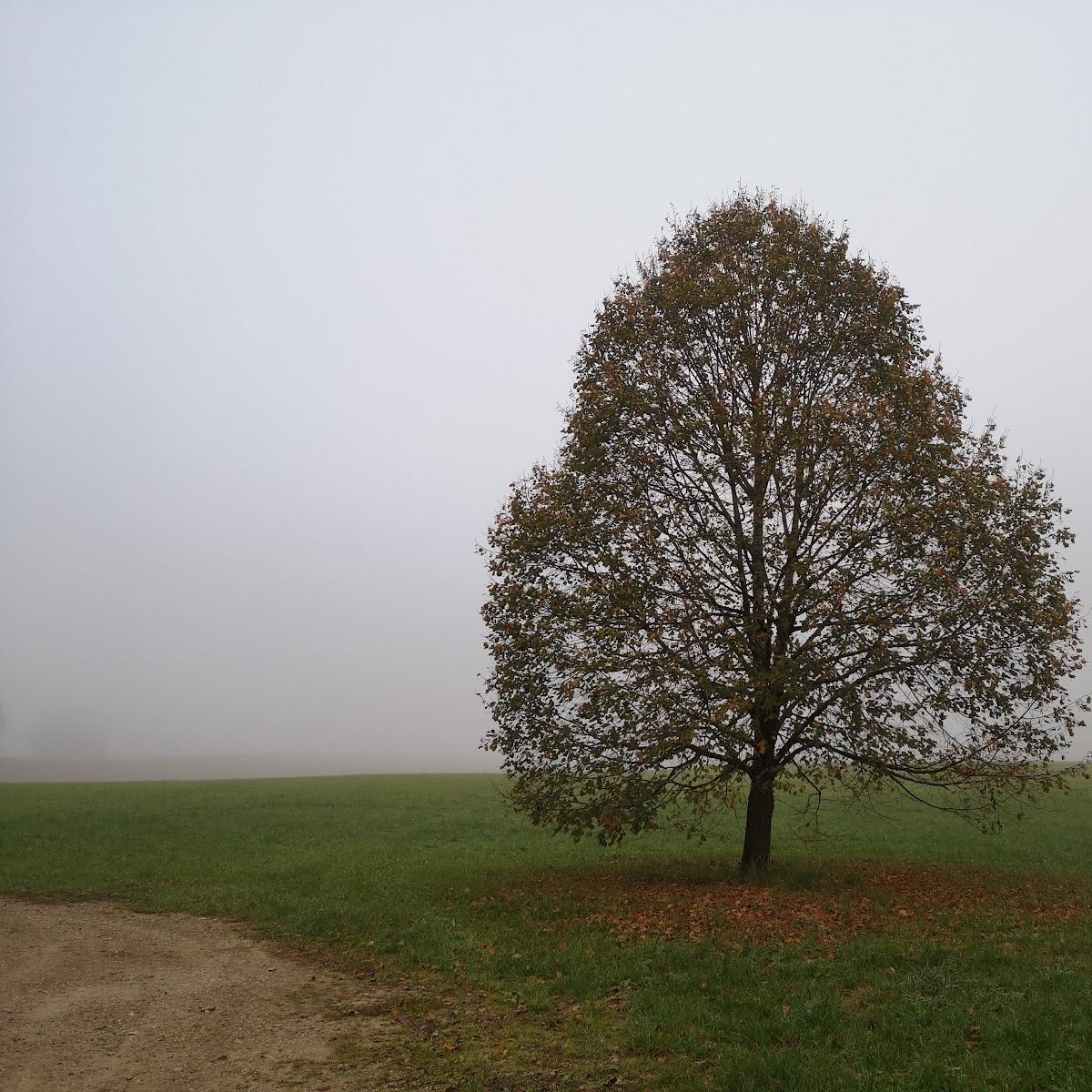 Restaurant "Pension Wieser" in Straßlach-Dingharting