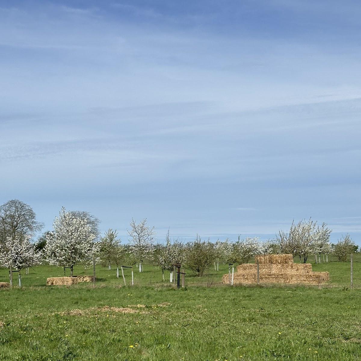Restaurant "Blütenwiese Pink&Pretty Baumblüte" in Werder (Havel)