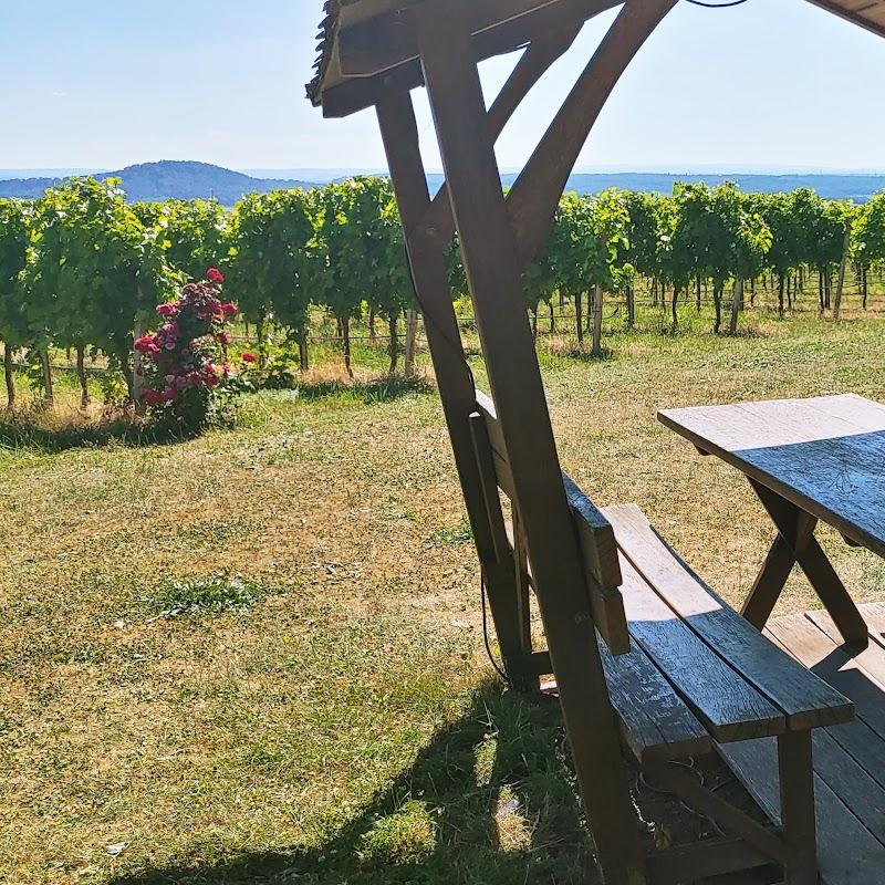 Restaurant "BERG.WEIN.TERRASSE auf dem Amalienhof" in Beilstein
