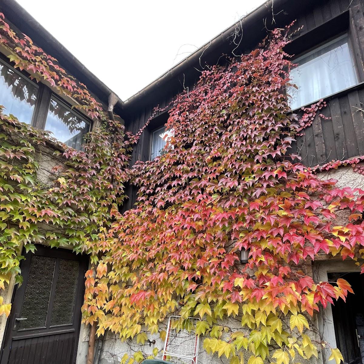 Restaurant "Ratskeller Geising" in Altenberg