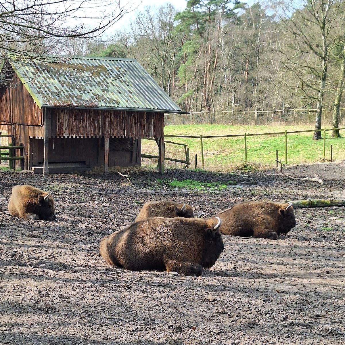 Restaurant "Parkplatz für Wildpark und Restaurant am Wildpark Gangelt" in 