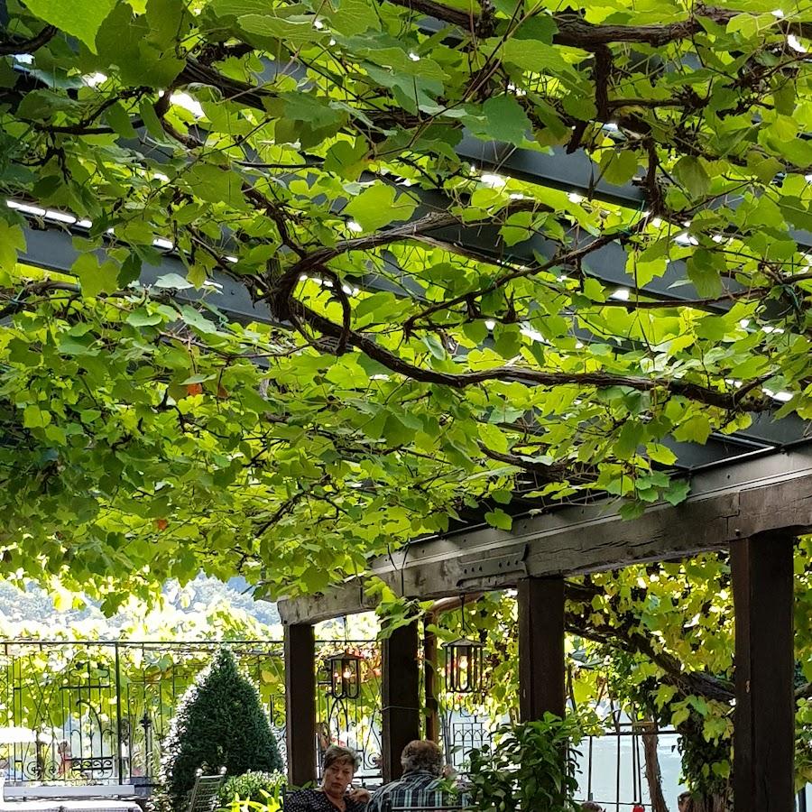 Restaurant "Weingut und Gutsschänke Marco Daun" in Burg(Mosel)