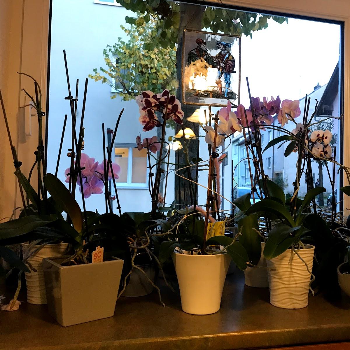 Restaurant "Pizza & Pasta" in  Eslarn