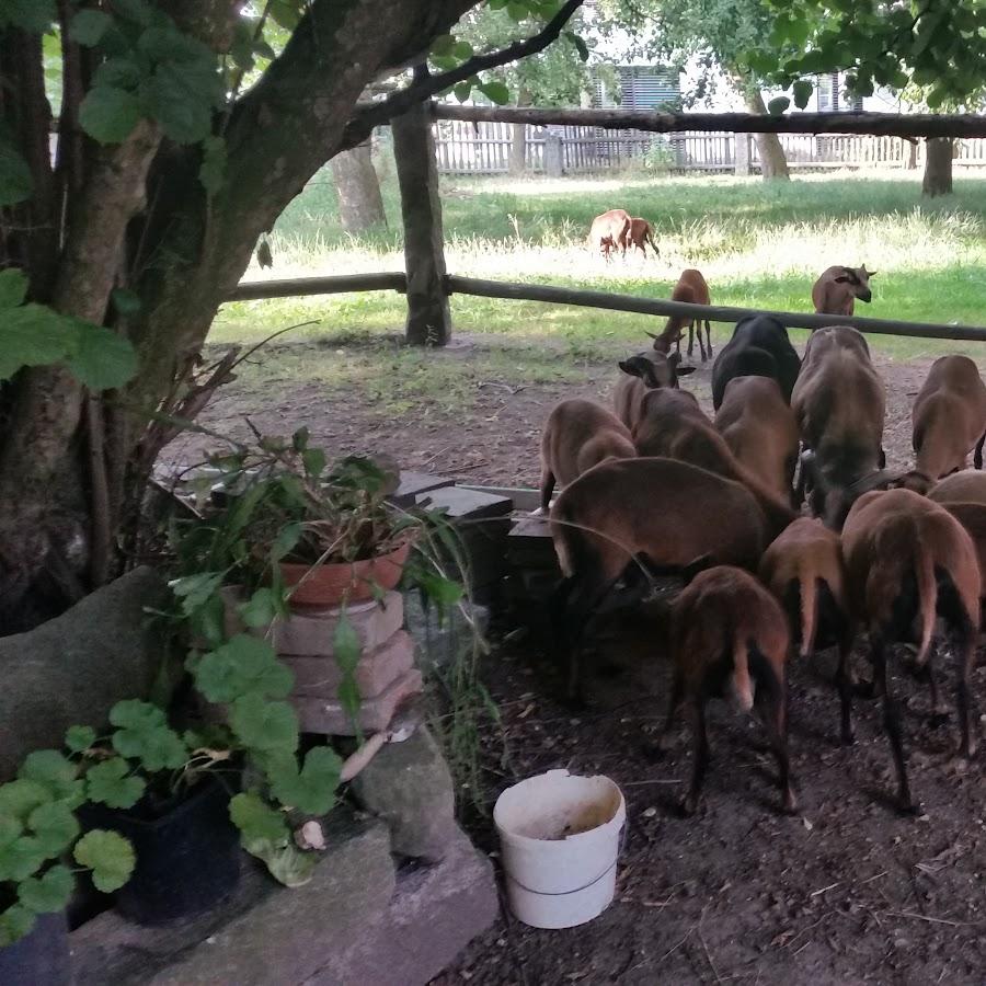 Restaurant "Josef Neumeier" in Reisbach