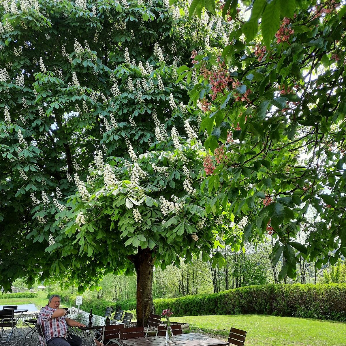 Restaurant "Waldbad" in Tiefenbach