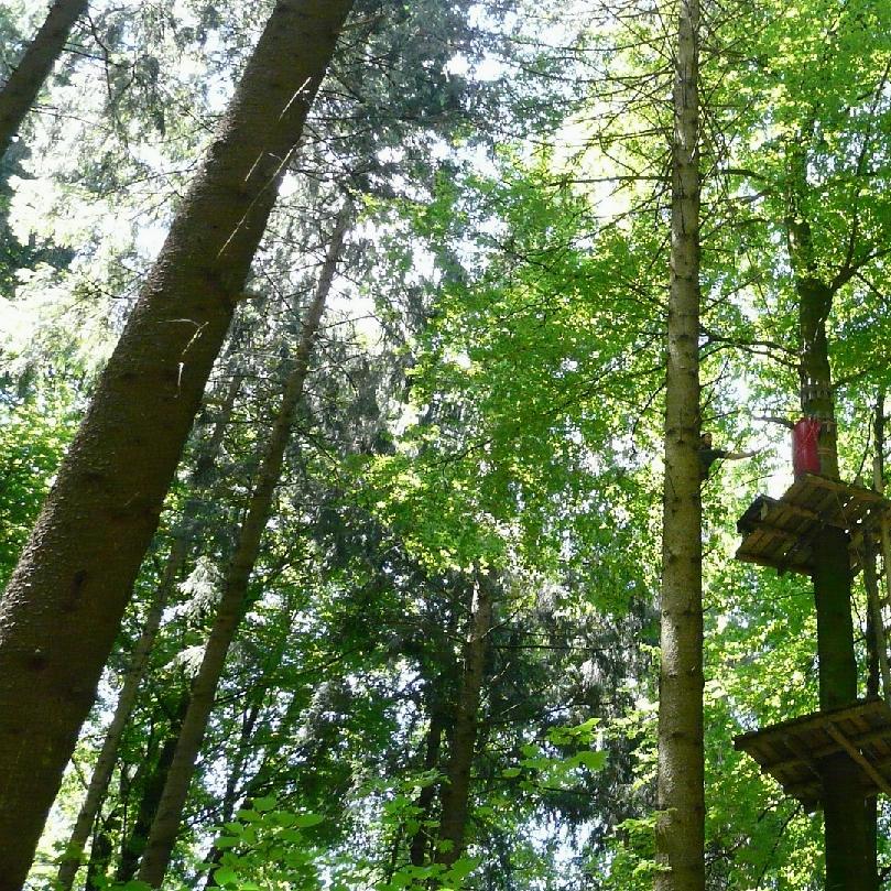 Restaurant "Kletterwald Kaiserslautern TiLu Adventure UG" in Mehlingen