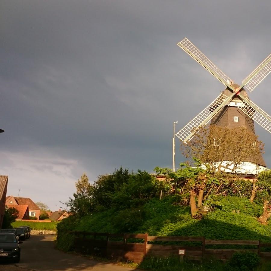 Restaurant "Lotus - China Restaurant" in  Meldorf