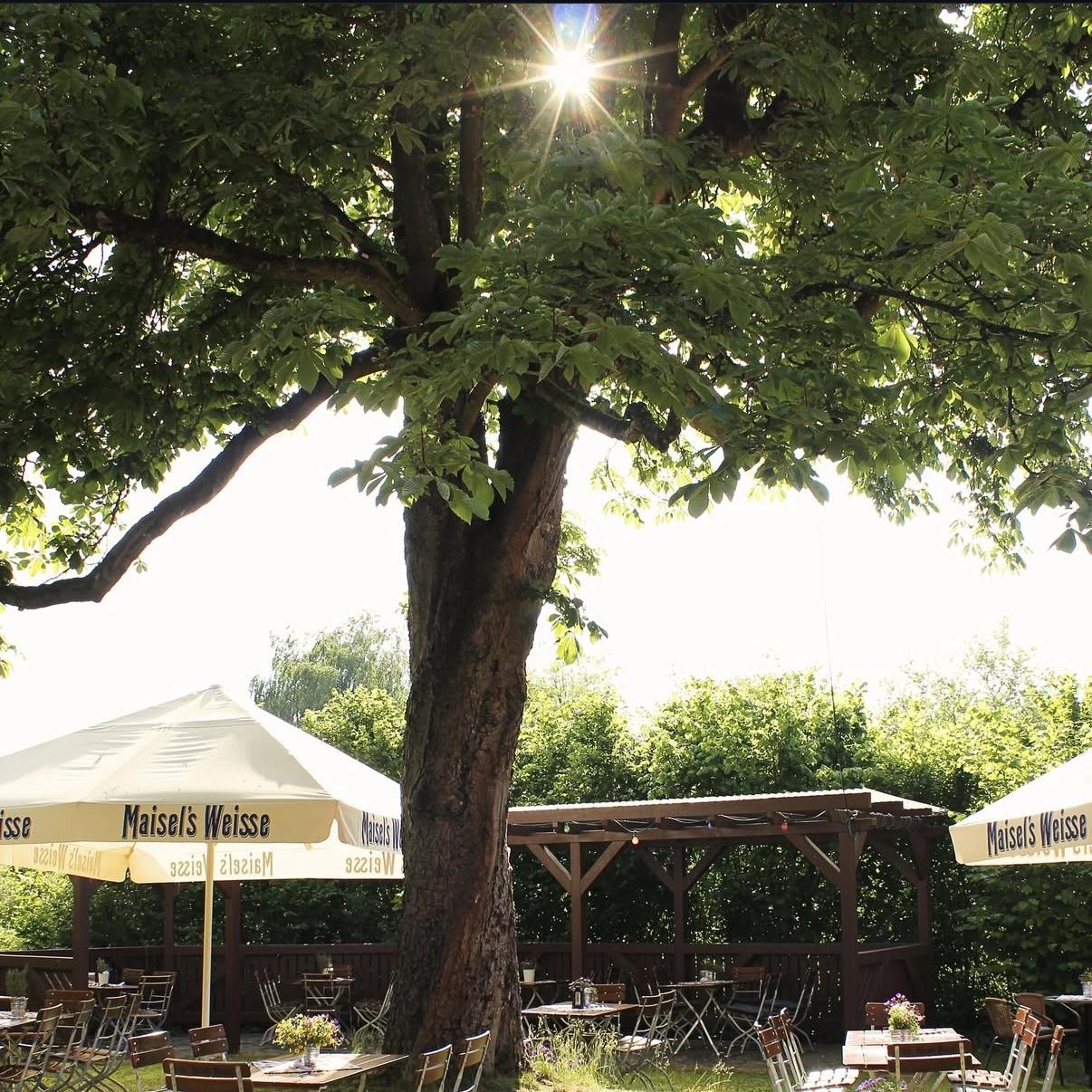 Restaurant "Bockpfeifer" in Selbitz