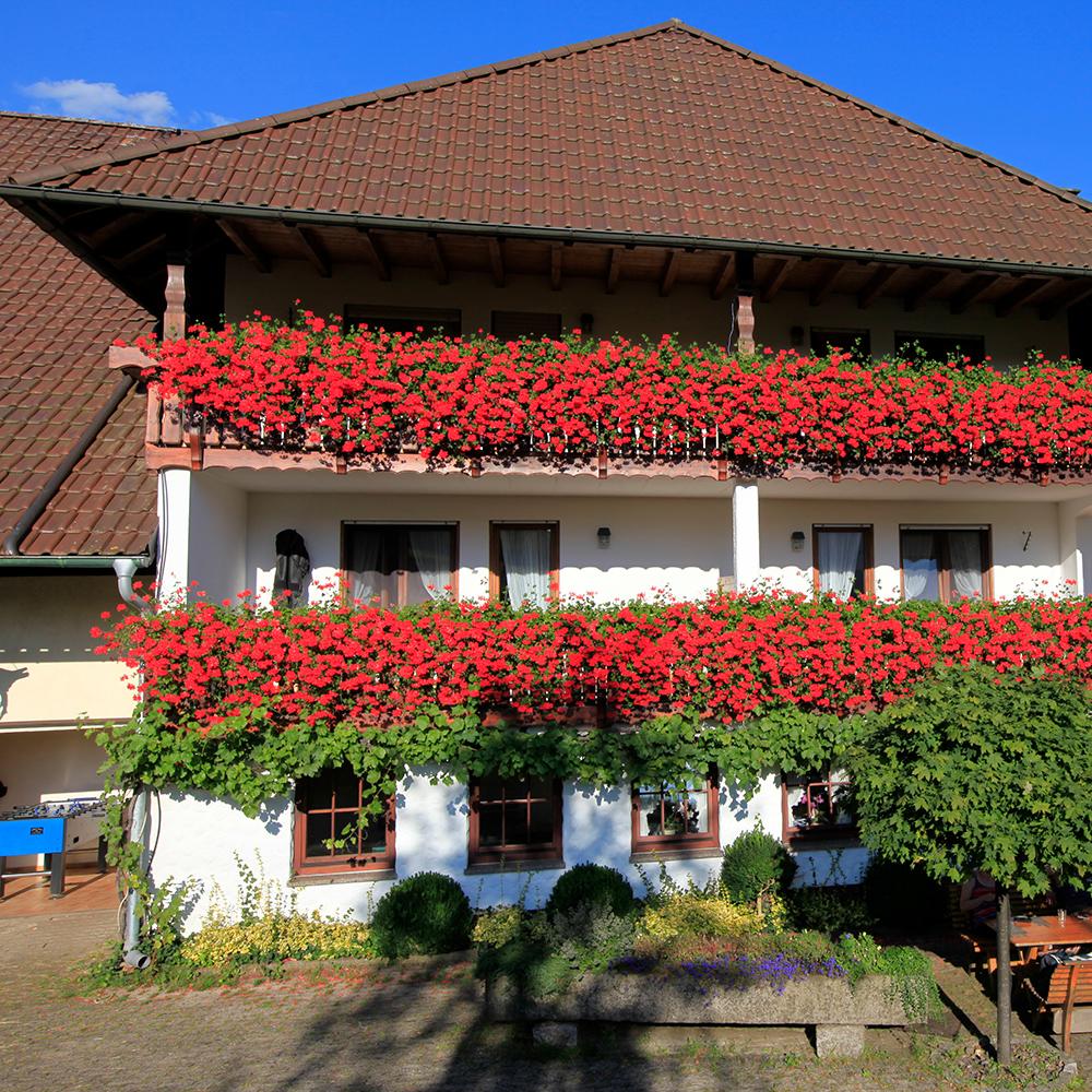 Restaurant "Vitztinerhof - Hubert Weis" in Simonswald