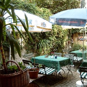 Restaurant "Grüner Humpen zu Meissen" in Meißen