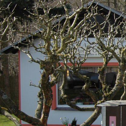 Restaurant "Horns Gasthaus" in Rüting