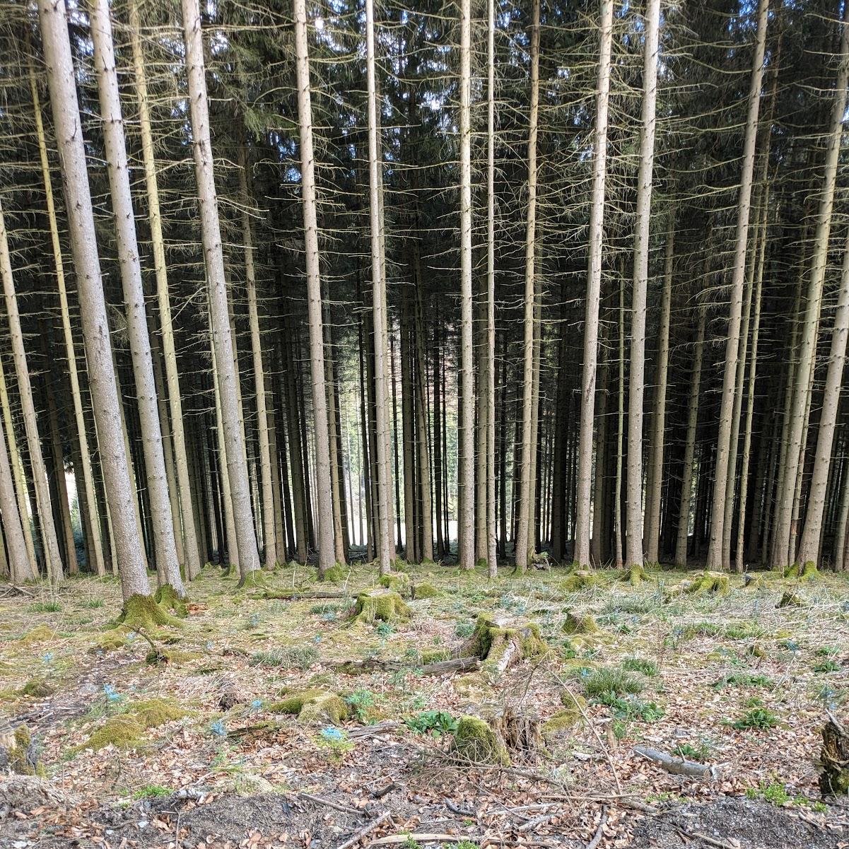 Restaurant "- Heringhausen" in Bestwig