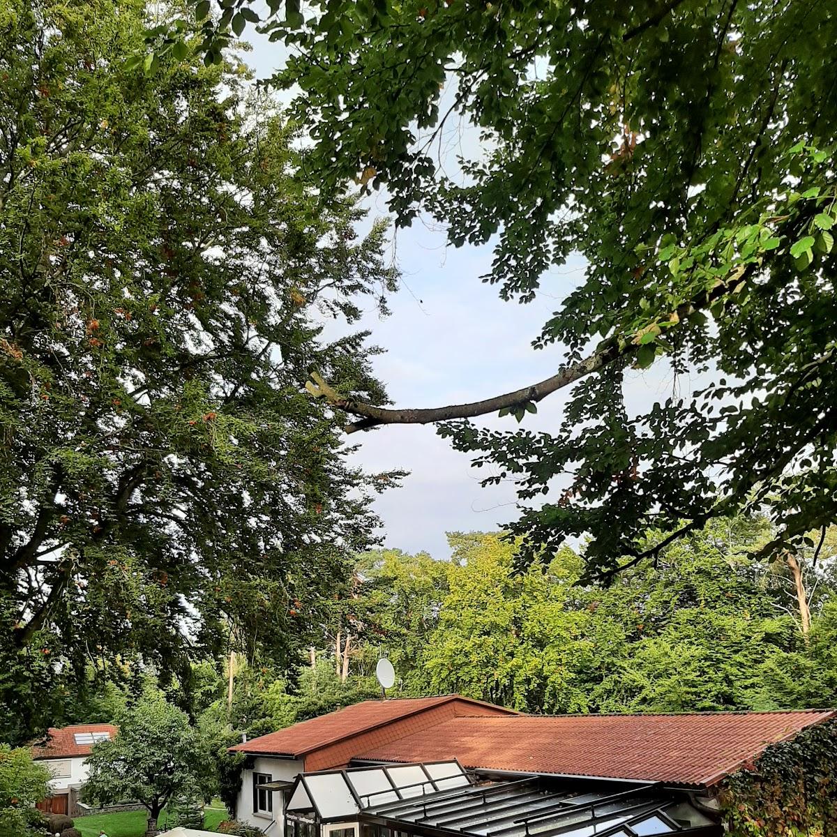 Restaurant "Waldhotel & Pension Sängerslust - Frank Hinrichs" in Lychen