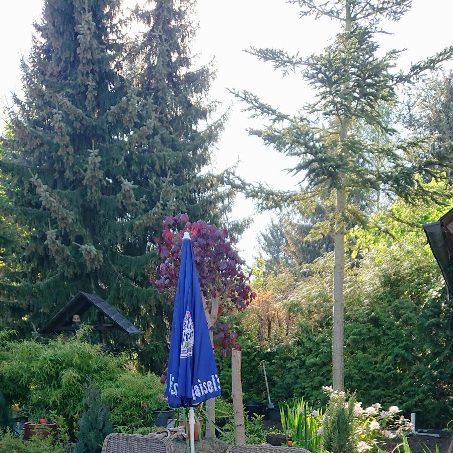 Restaurant "Landgasthof  Zum Posthaus " in Pöhl