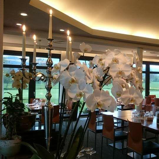 Restaurant "Patcharawadee Thai Cuisine Freiburger Golfclub" in Kirchzarten