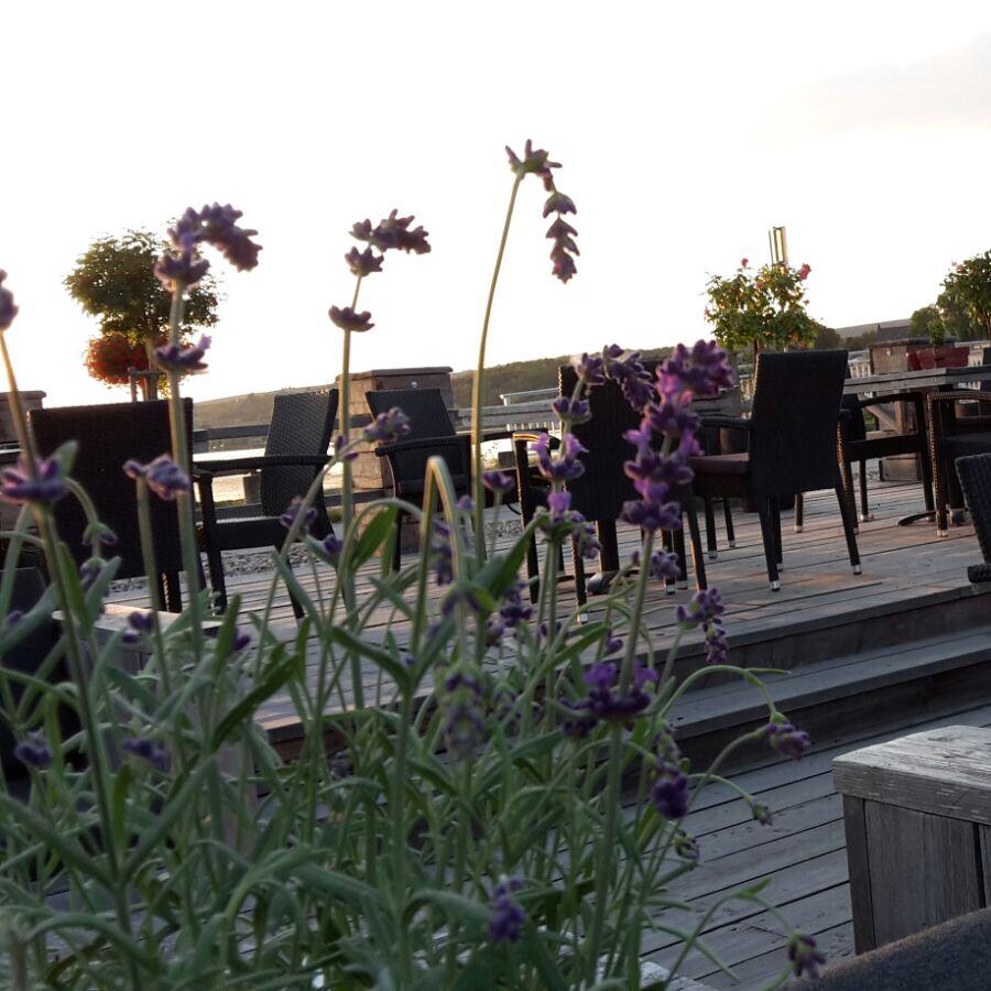 Restaurant "Haus am See" in Seegebiet Mansfelder Land