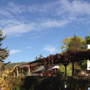 Restaurant "Hotel Saalthal Alter - Hotel  Saalestrand " in Unterwellenborn