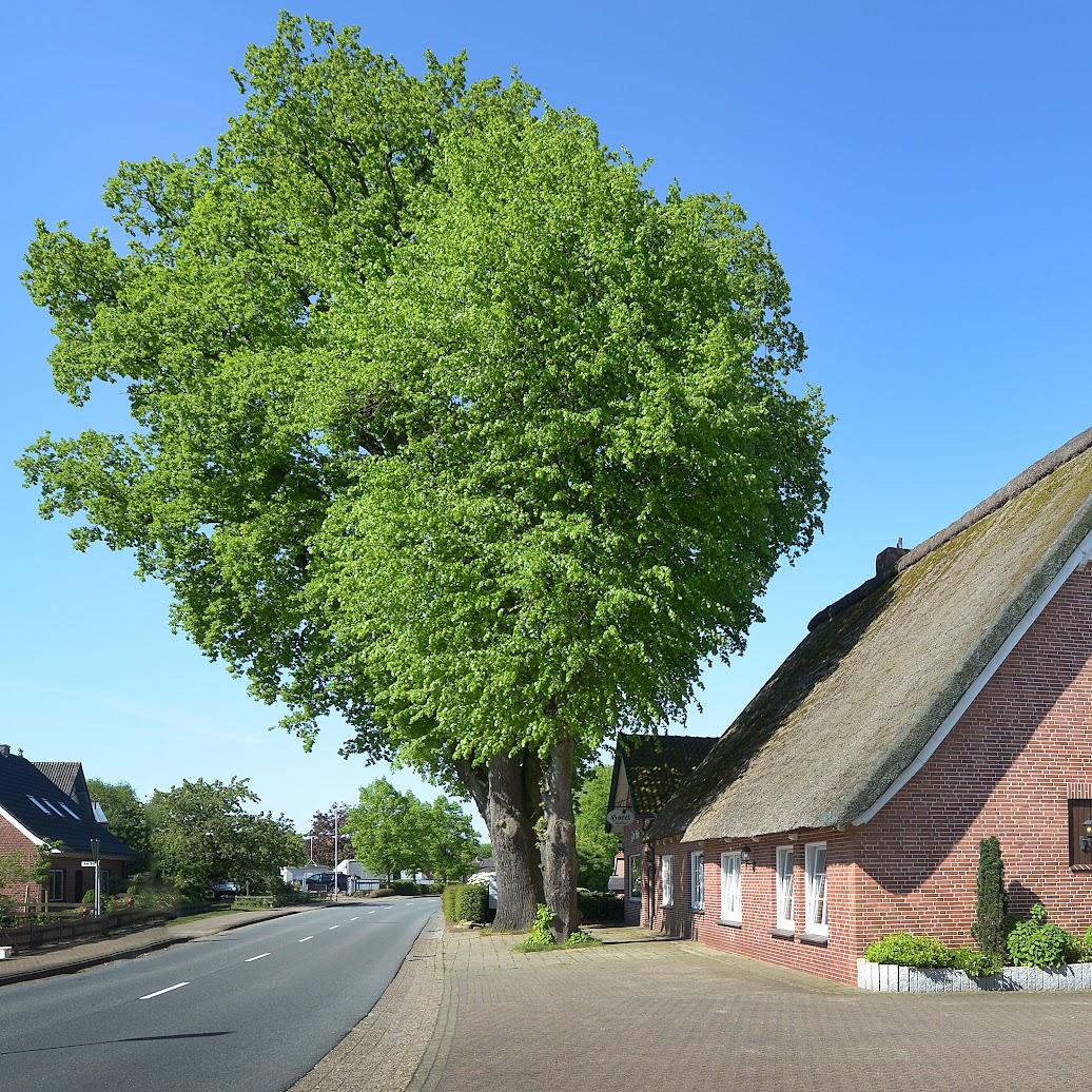 Restaurant "Landhotel Zur Eiche" in Buxtehude