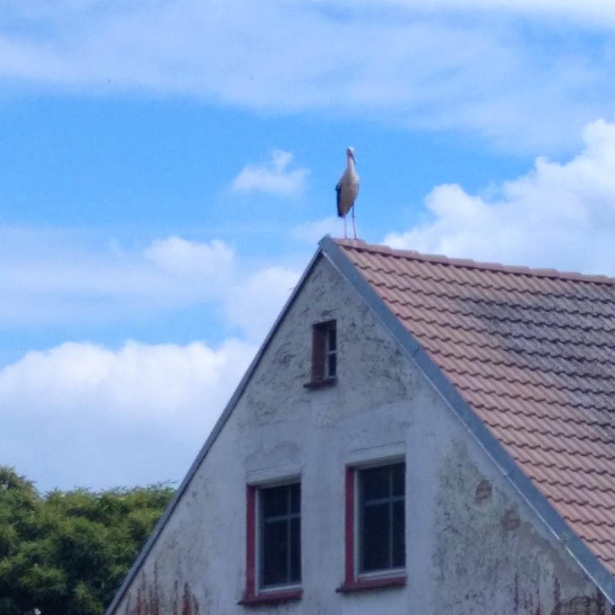 Restaurant "Radlerrast" in  Letschin