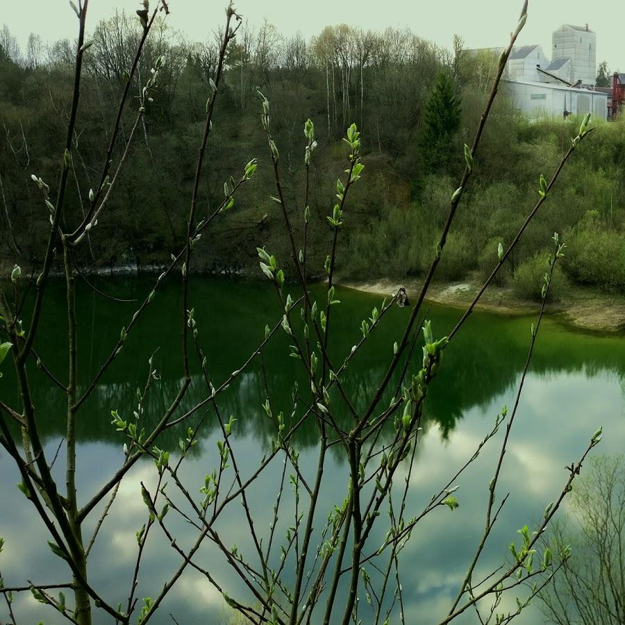 Restaurant "Fischerhütte Fischereiverein" in  Neusorg