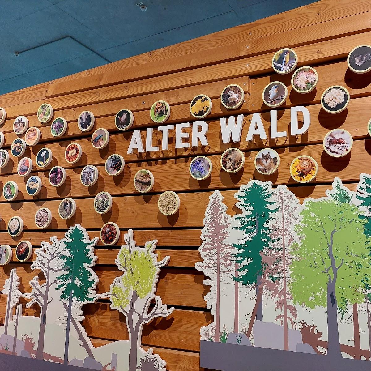 Restaurant "Pension Saller" in Bodenmais