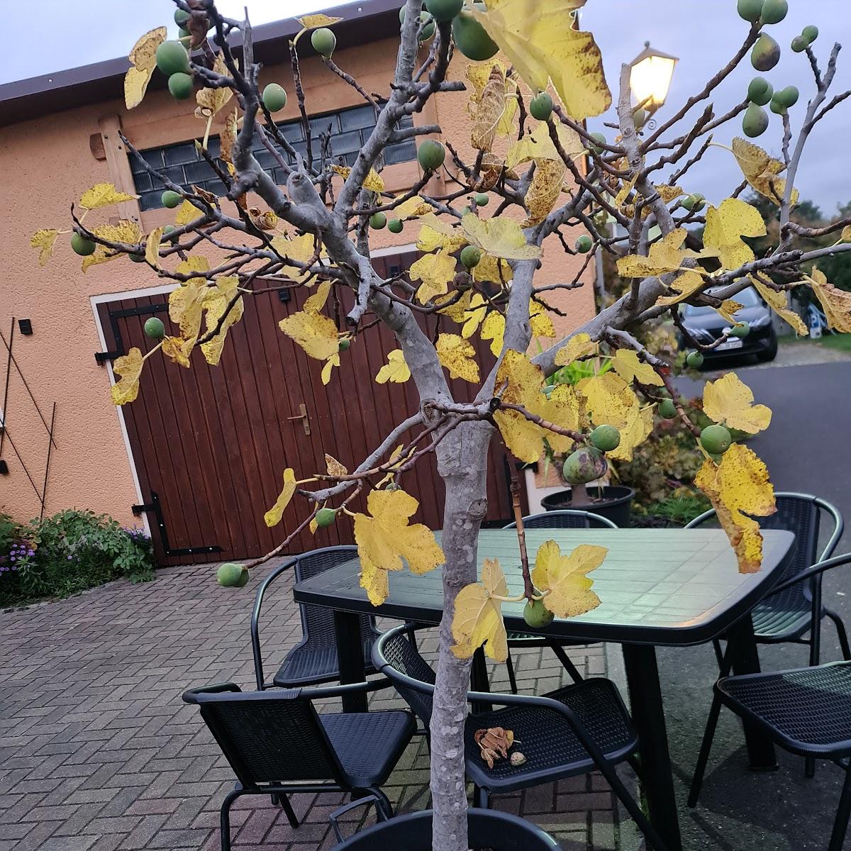 Restaurant "Gaststätte Zur Neiße-Aue" in Rothenburg-Oberlausitz