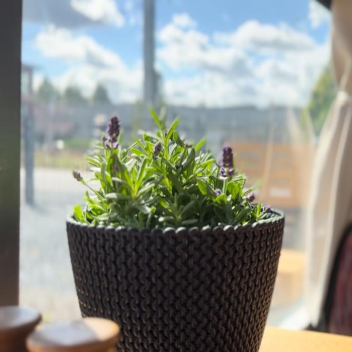 Restaurant "Pizzawerk" in Perl