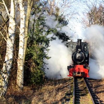 Restaurant "Feldbahnmuseum Oekoven" in Rommerskirchen