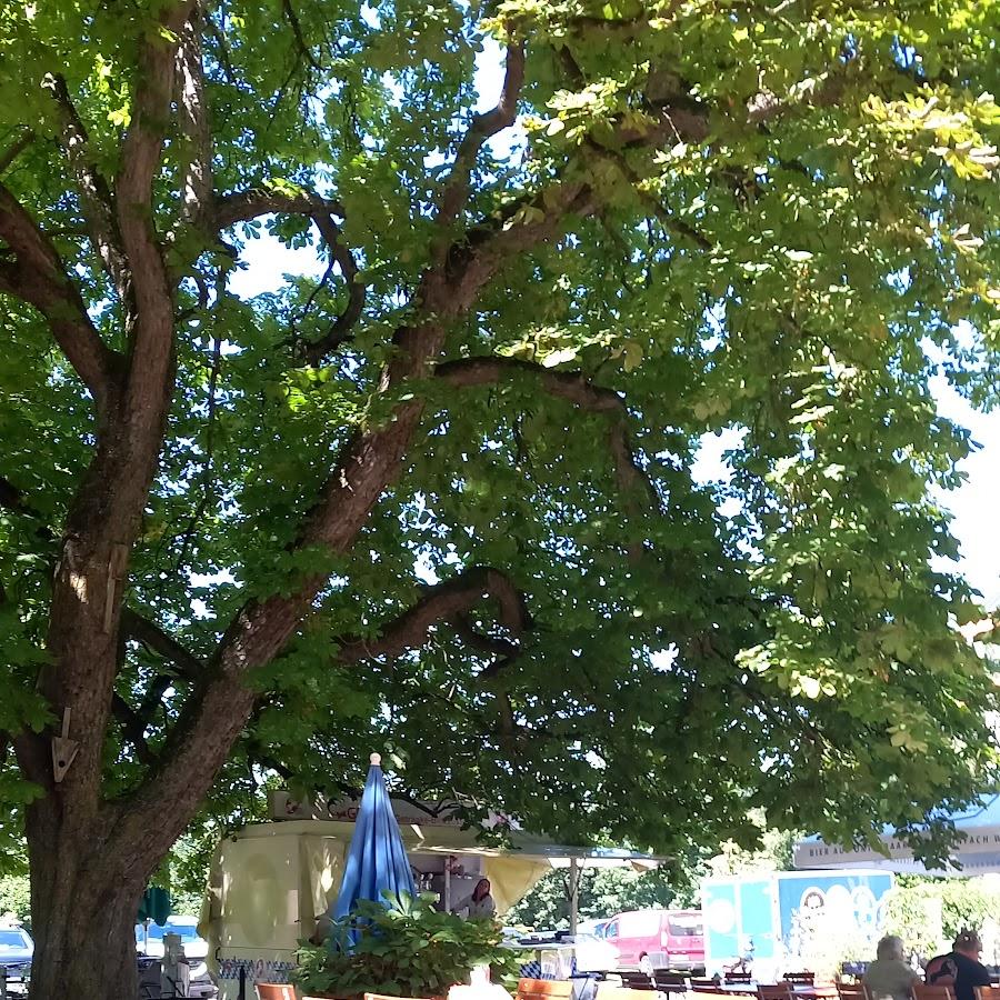 Restaurant "Gasthaus Rössle" in Jengen