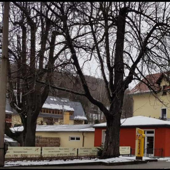 Restaurant "Backlokal Pfützner" in Dippoldiswalde