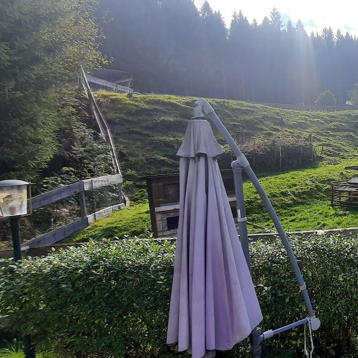 Restaurant "Pension & Landgasthof Zur Försterei" in Muldenhammer