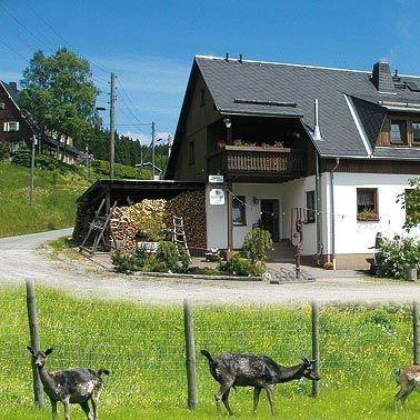 Restaurant "Pension  Weidmannsheil " in Muldenhammer