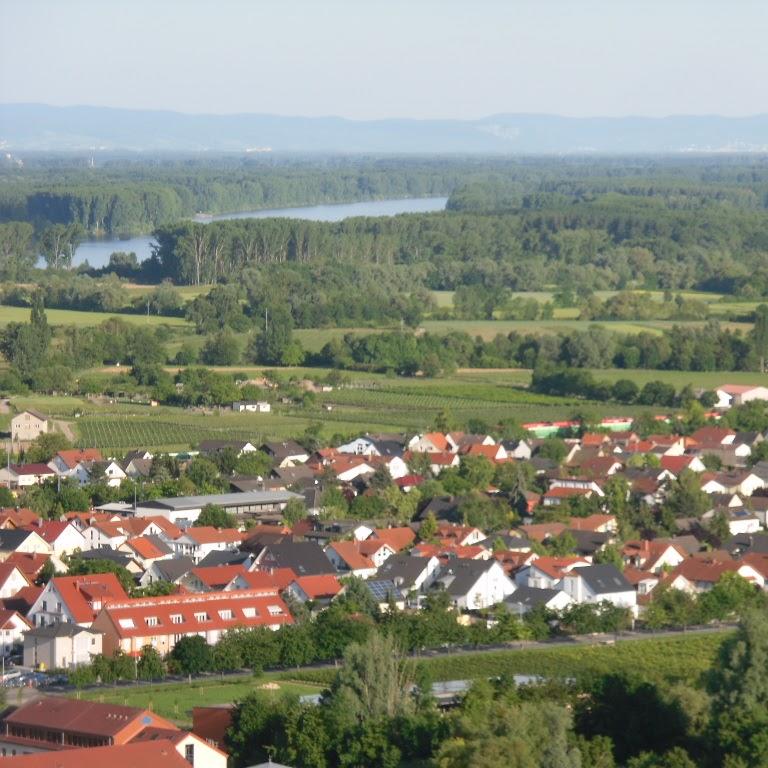 Restaurant "Gästehaus Alte Küferei" in Dienheim