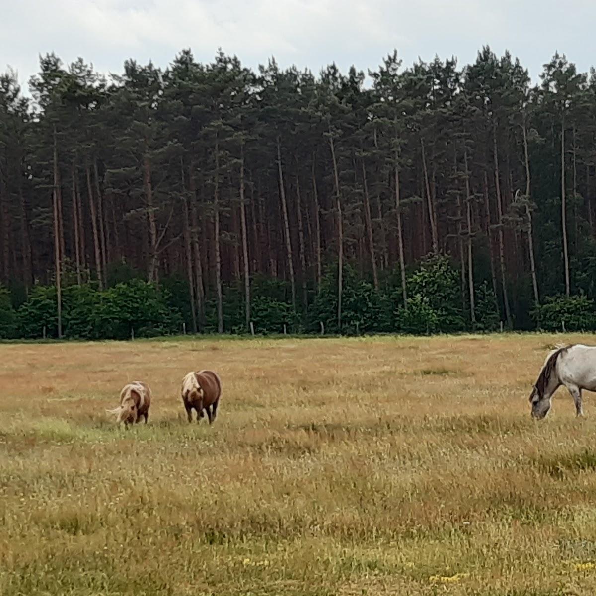 Restaurant "Wild und Haustierpark Liebenthal gGmbH" in Liebenwalde