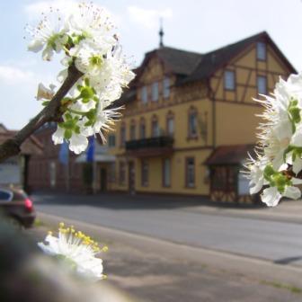 Restaurant "Wirtshaus  Zum Grünen Baum " in  Hösbach