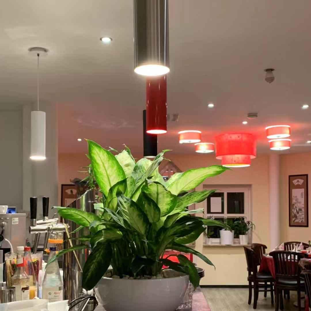 Restaurant "Oilin China Restaurant" in  (Werra)