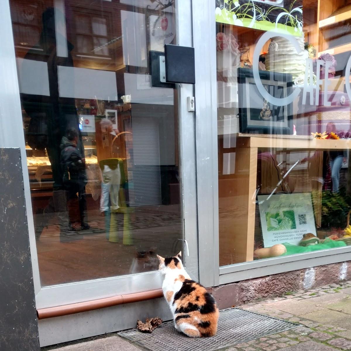 Restaurant "Cafe Cannelle" in  Bodenwerder