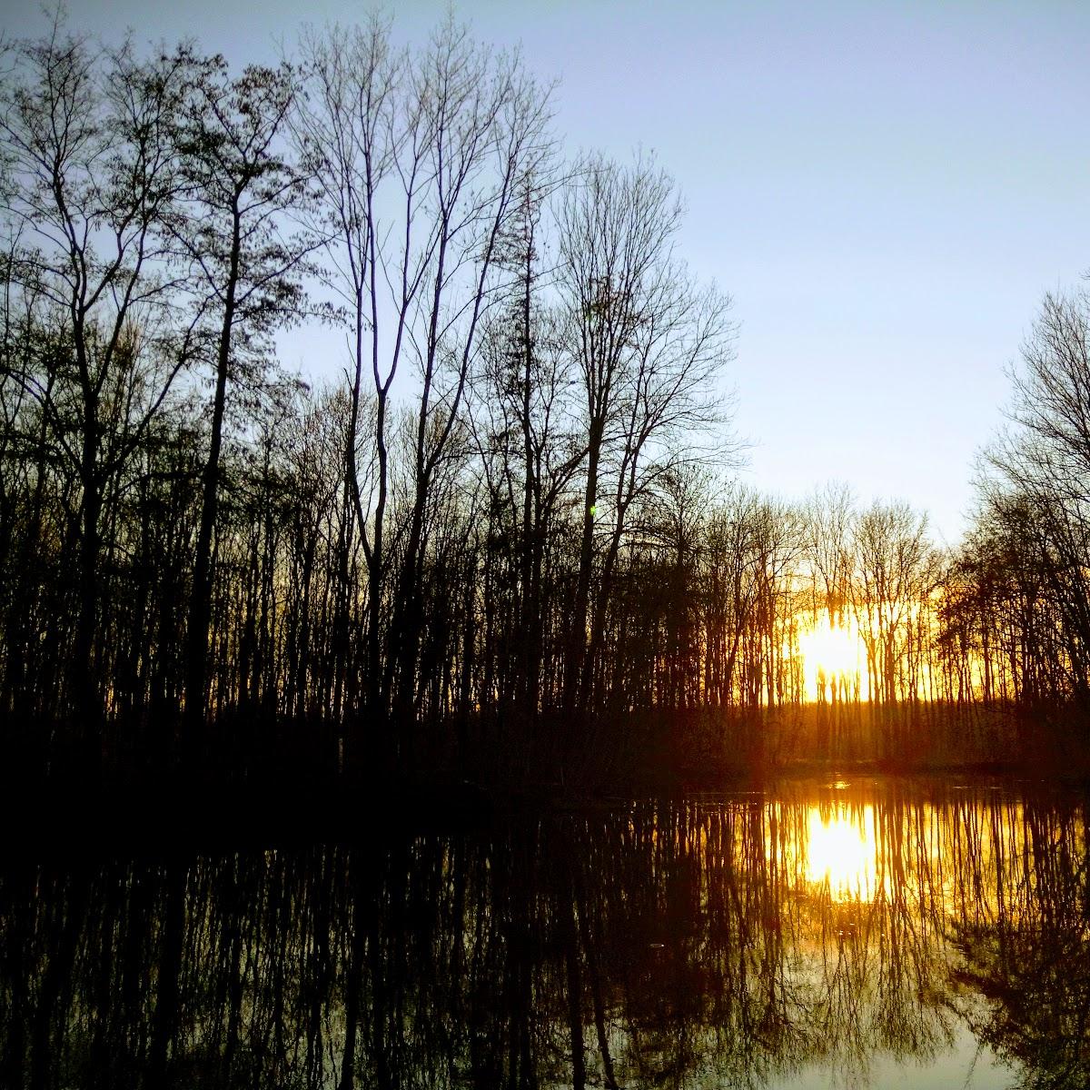 Restaurant "Gaststätte Alt Gustorf" in  Grevenbroich