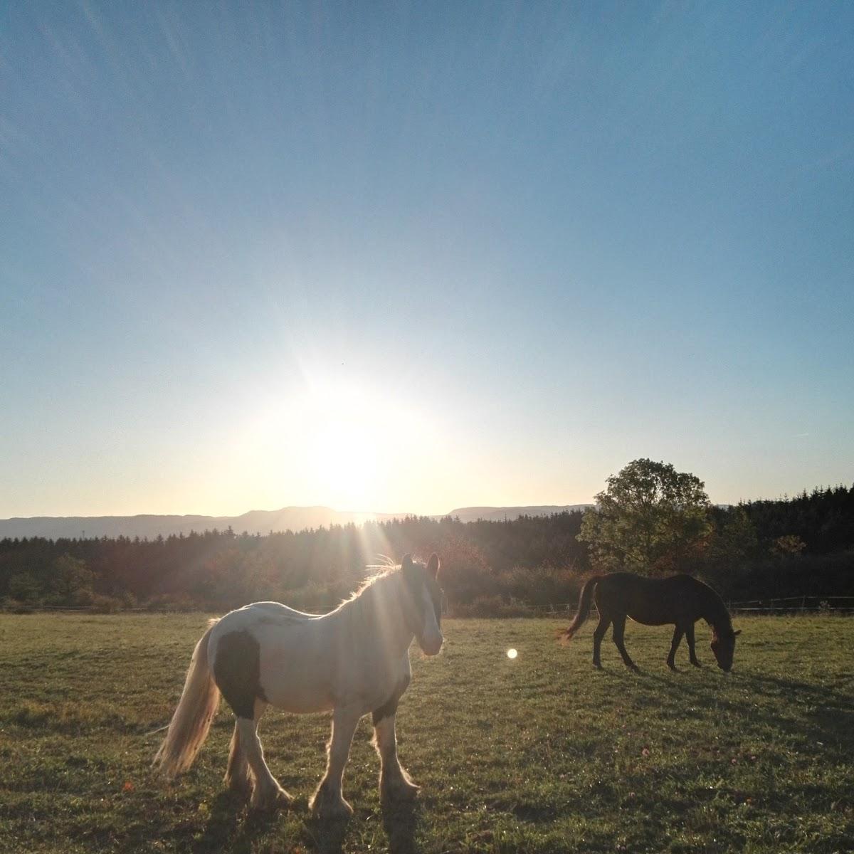 Restaurant "Sportheim Erlaheim" in  Geislingen
