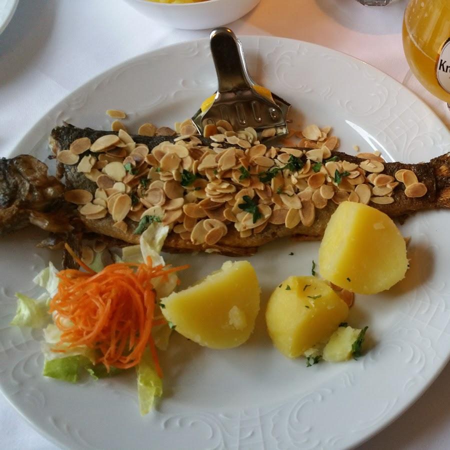 Restaurant "Forellenhof Borkowski" in  Knüllwald