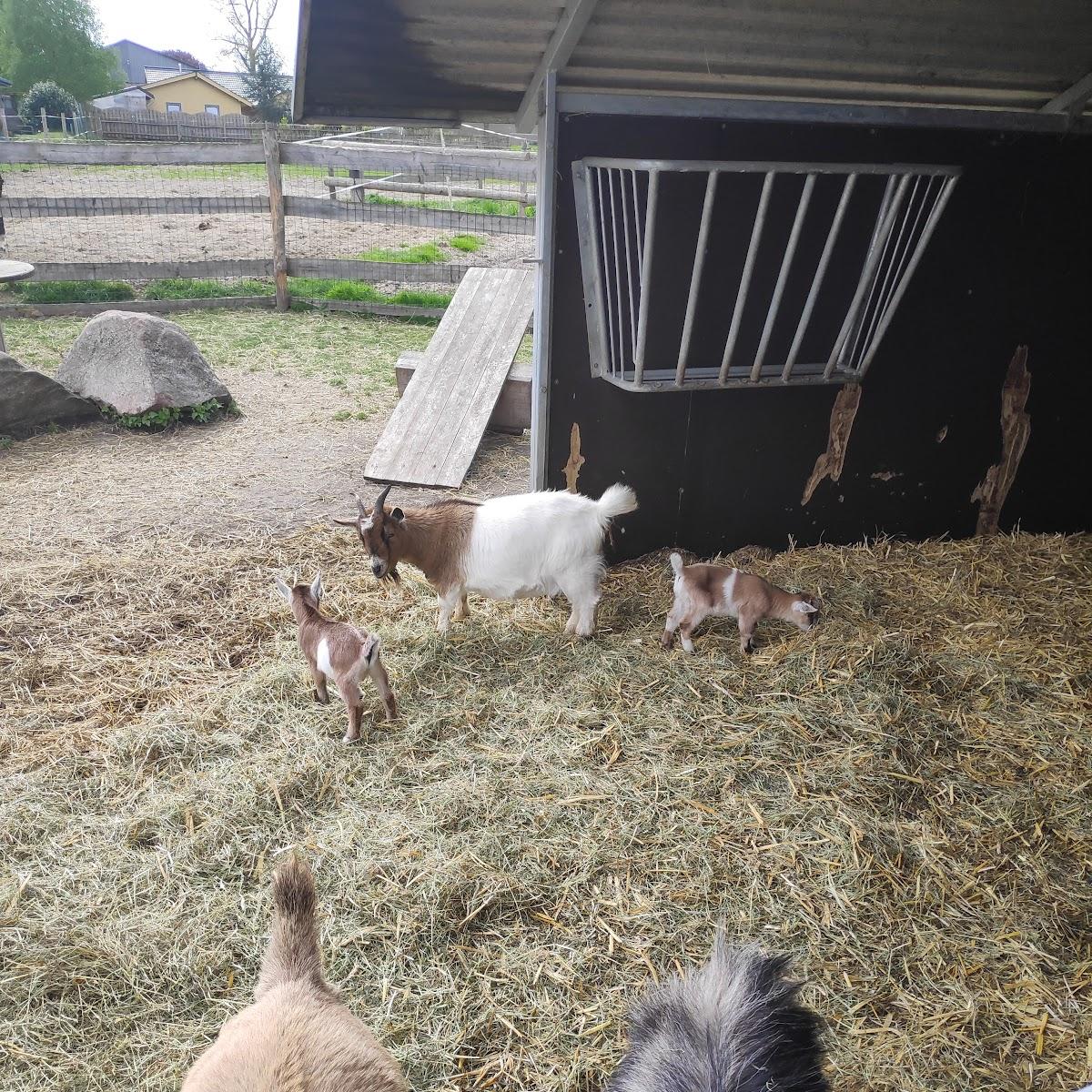 Restaurant "Ferienhof Mißfeldt" in Tensbüttel-Röst